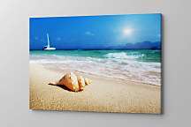 Obraz na stenu do spálne Mušľa na piesočnatej pláži zs1344